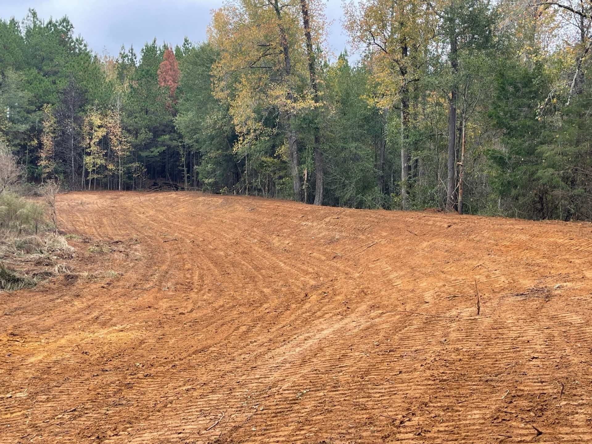 A cleared, reddish-brown dirt field with tire tracks sits in front of a line of dense green and yellow trees.
