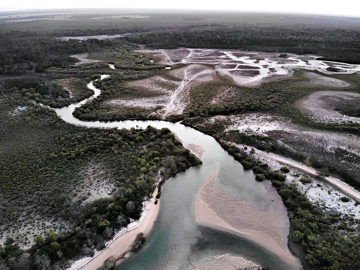 An Aerial View of a River Flowing Through a Lush Green Forest — Approved Plumbing Service in Burrum Heads, QLD