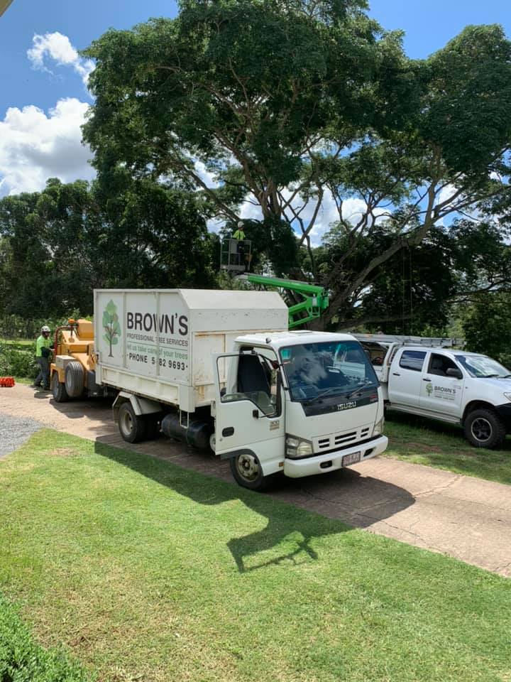 Brown’s Professional Tree Services Tree Loppers in Gympie