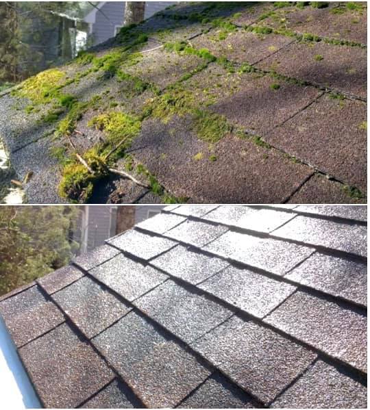 House Power Washing Service