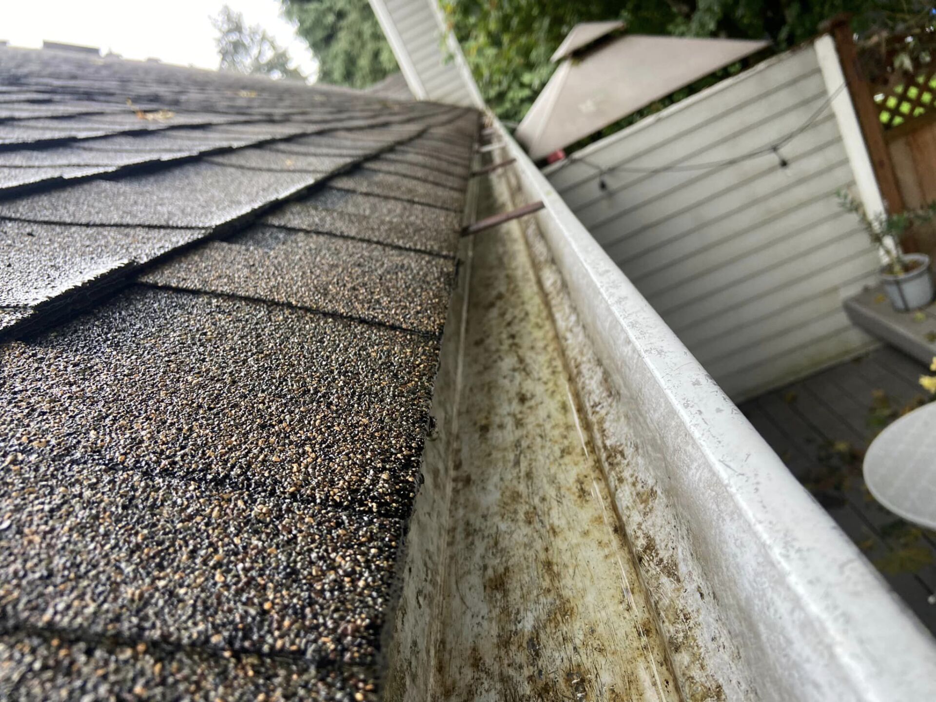 house power washing