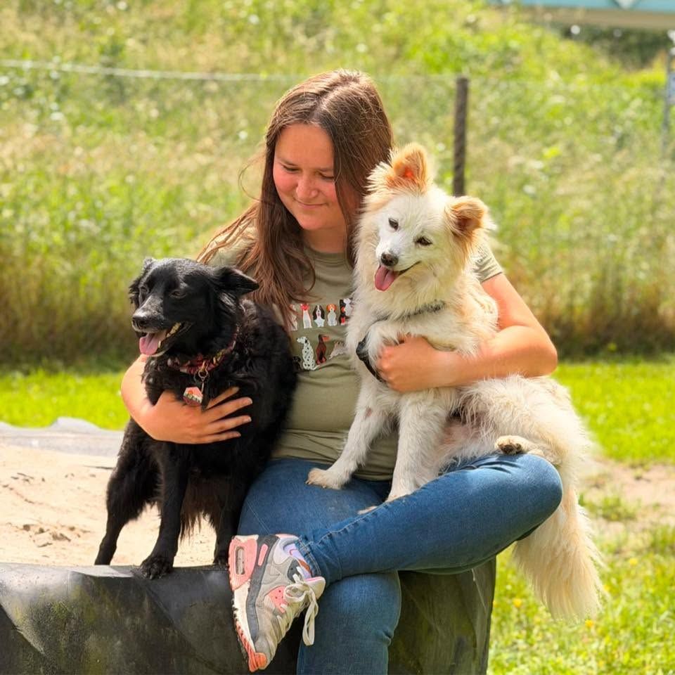 Twee vrolijke honden Lio en Vila die de inspiratie vormen voor natuurlijke hondensnacks.