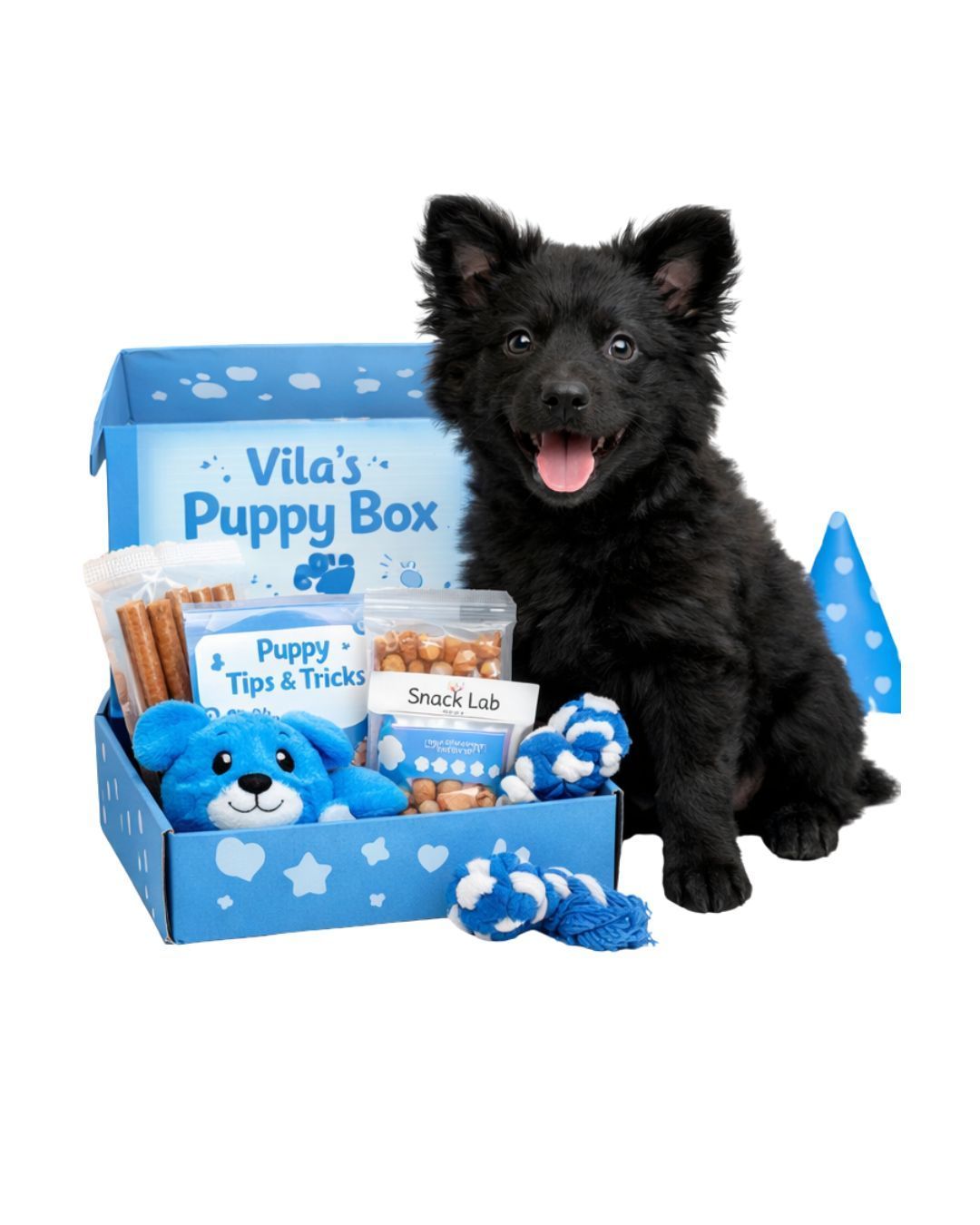 Vila's Puppy Box Boy