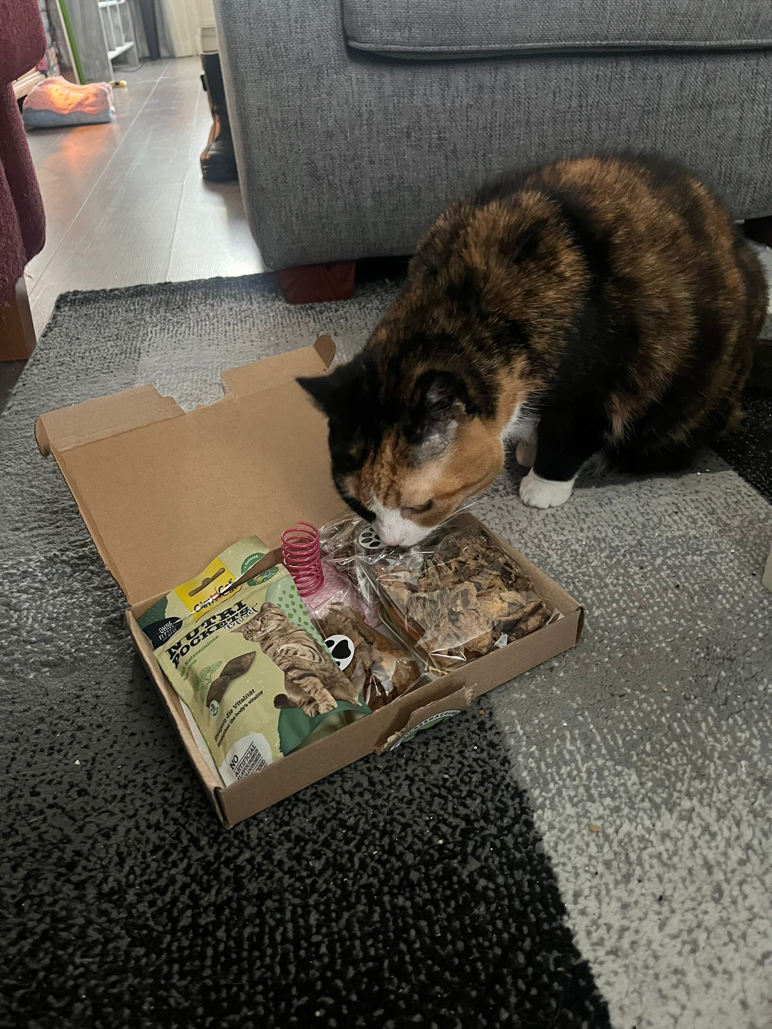 Vila's Cat Friends Box