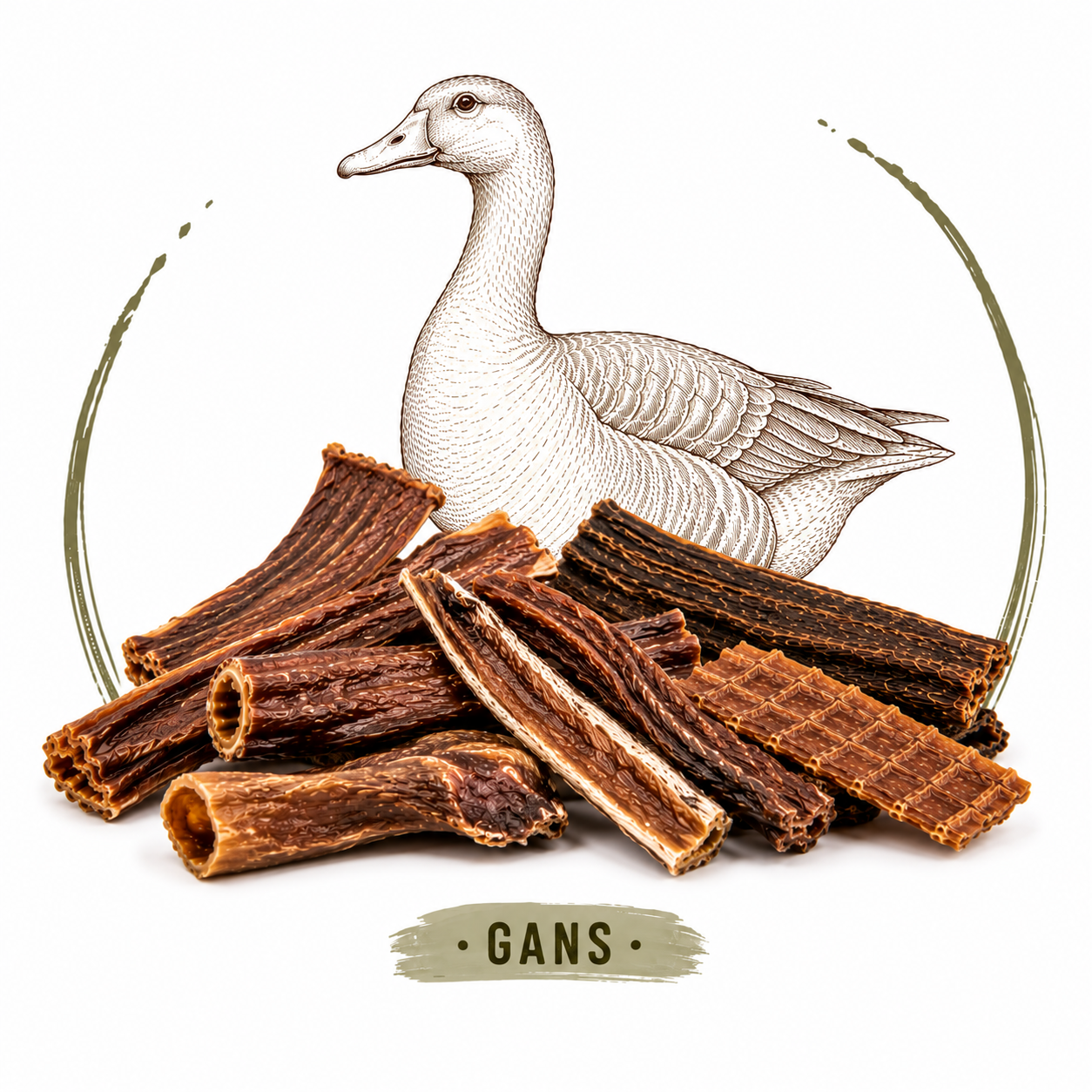 Gans
