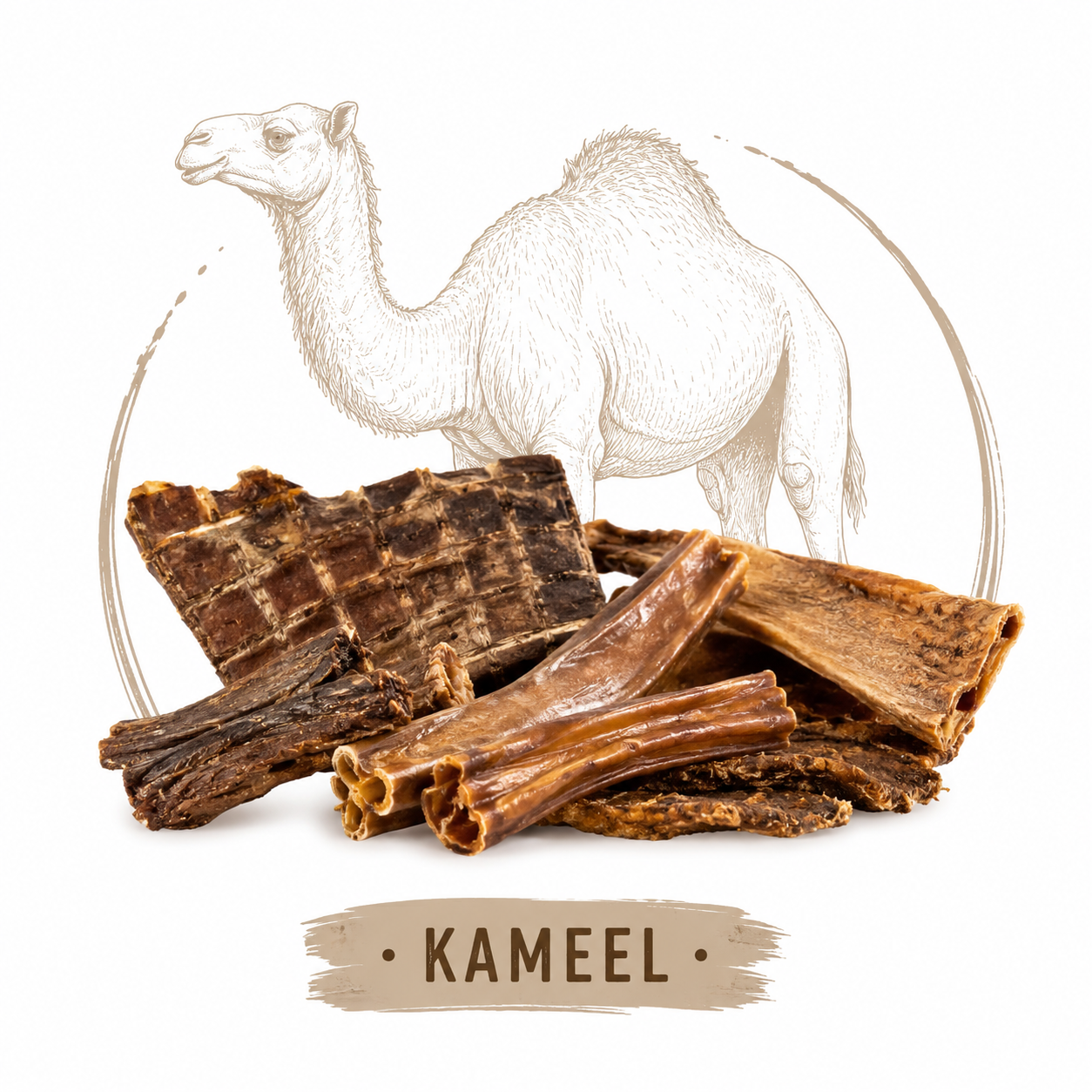 Kameel