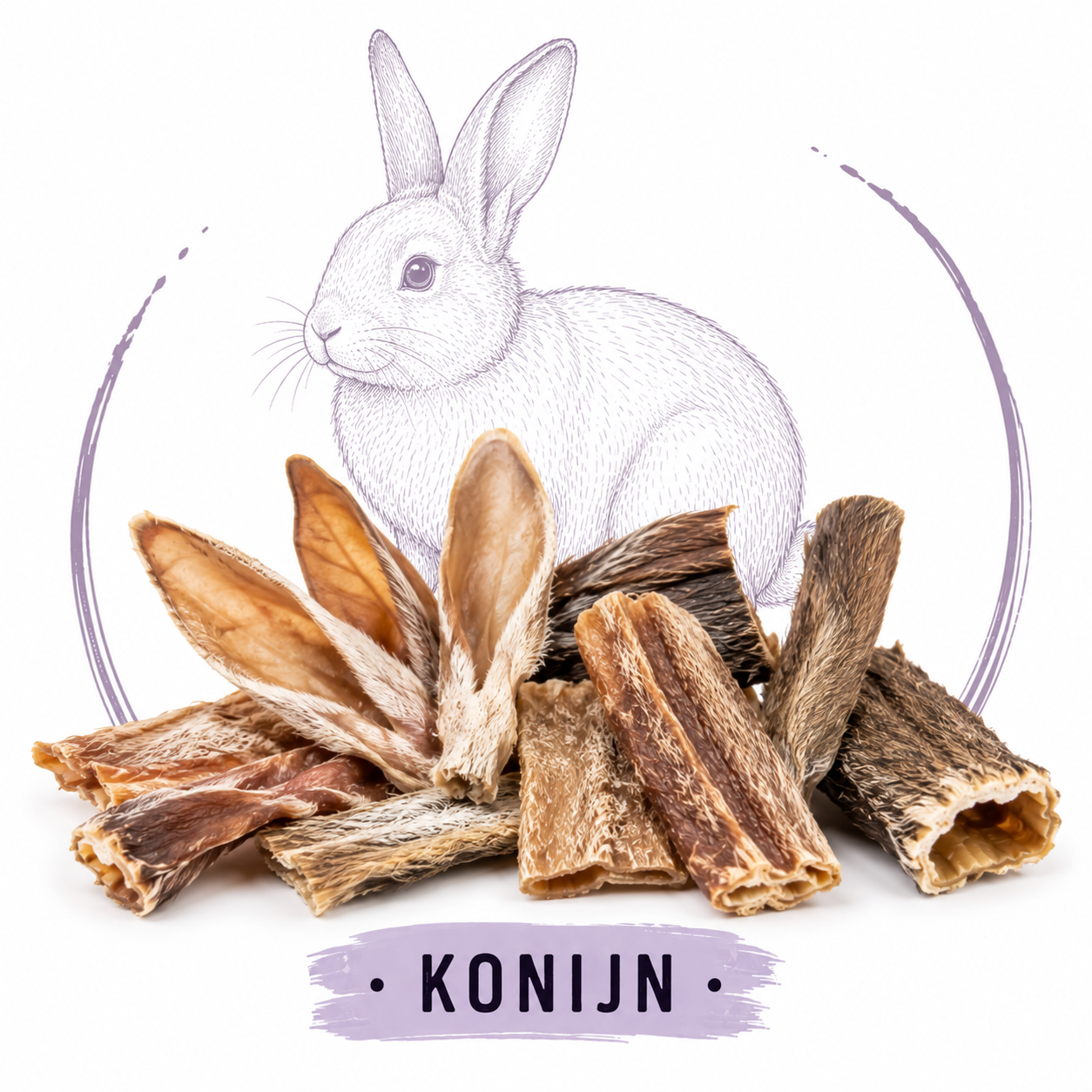 Konijn