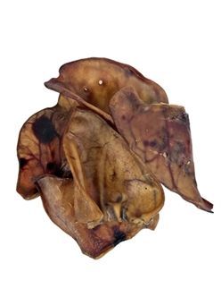 Zeugenoor XL