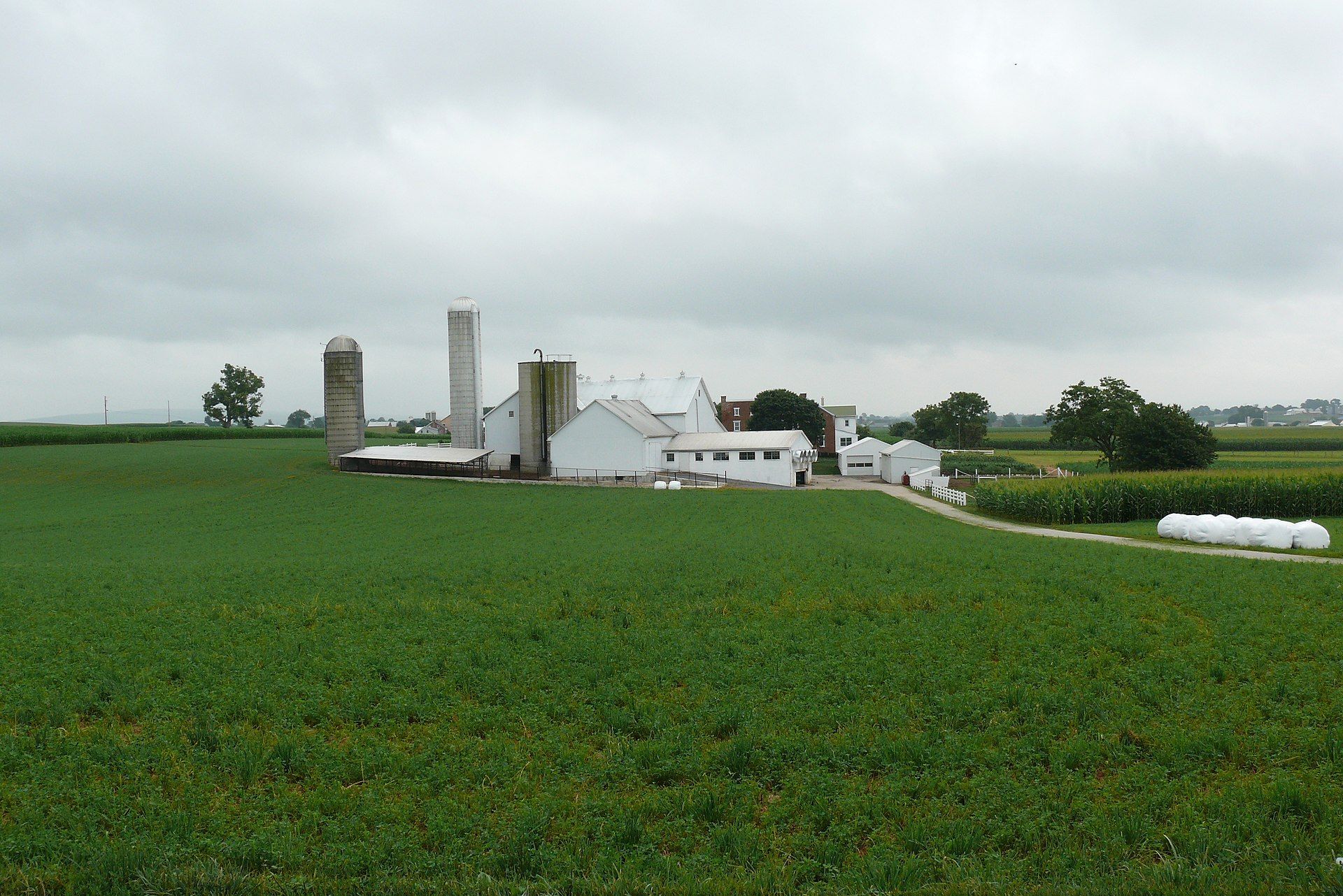 Farm complex with white buildings, silos, and green fields under a cloudy sky.