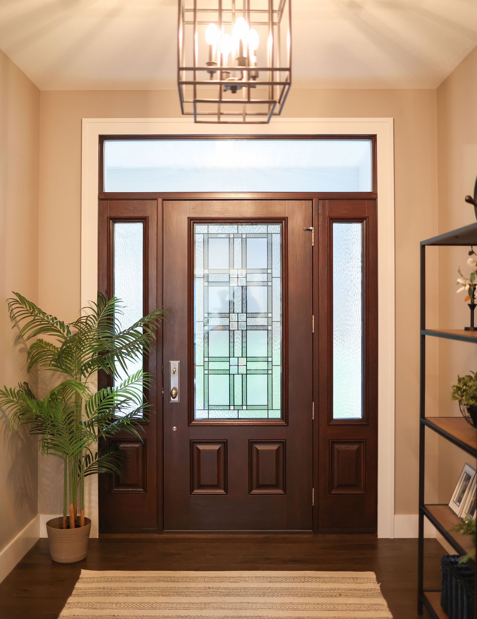 A dark wooden entry door with sidelights, transom, and a rug. A potted plant stands to the left.