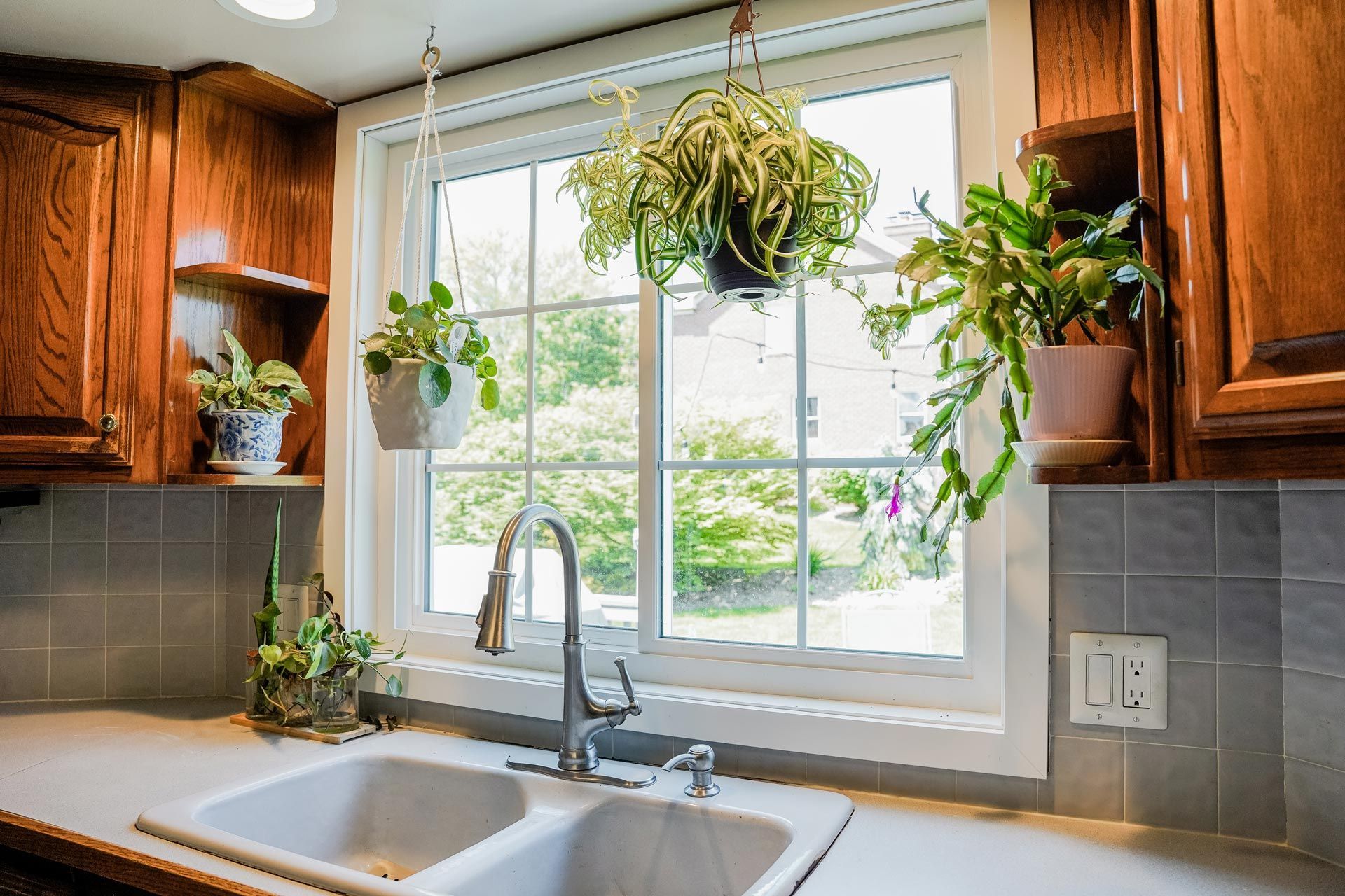 Kitchen sink area with window; hanging and potted plants, wood cabinets, and gray tile backsplash.
