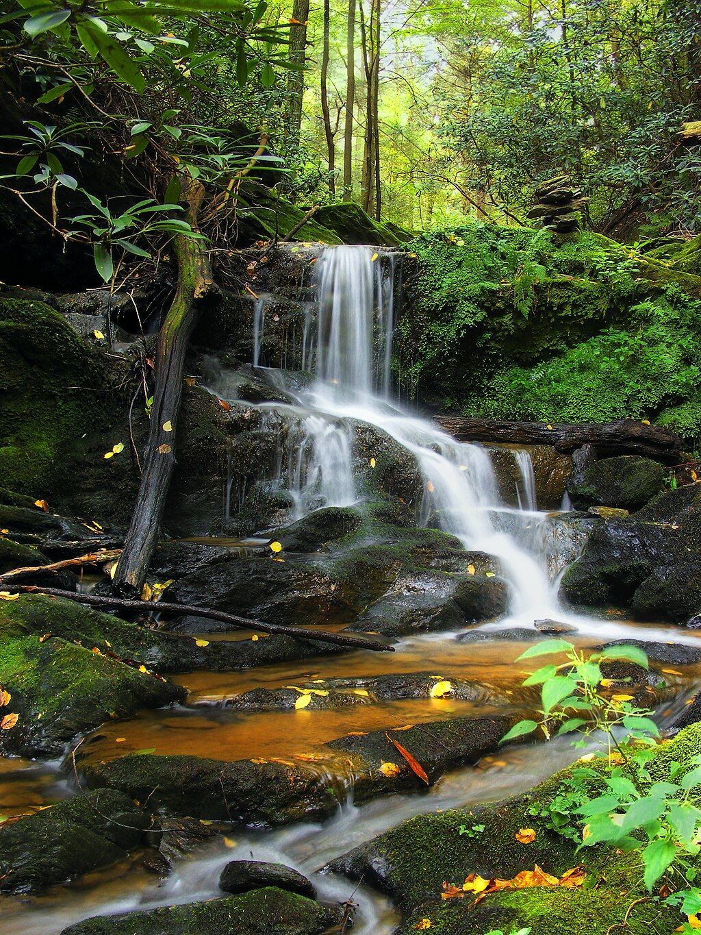 Waterfall cascading over mossy rocks in a lush, green forest, with fallen leaves in the water.