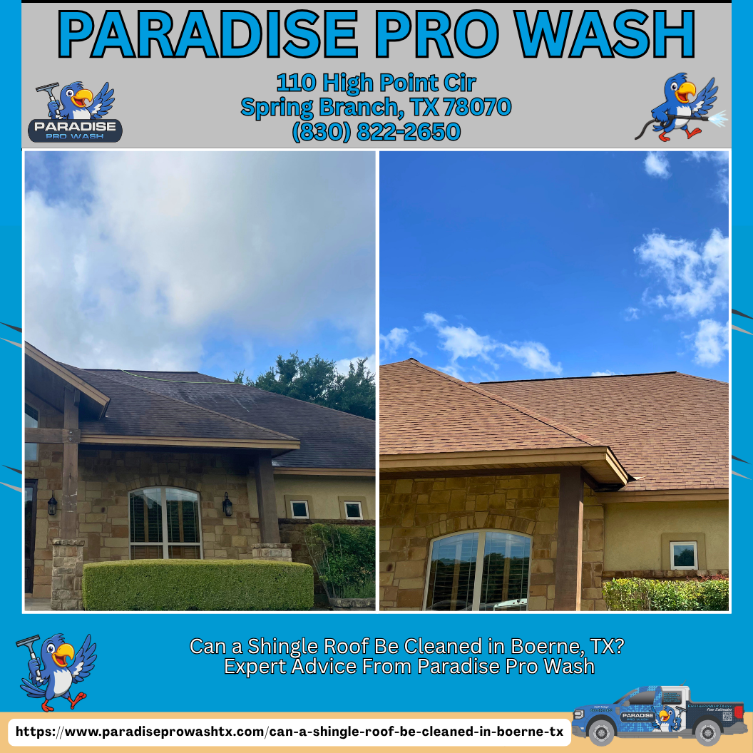 Paradise Pro Wash flyer showing before-and-after roof cleaning on a house under a blue sky