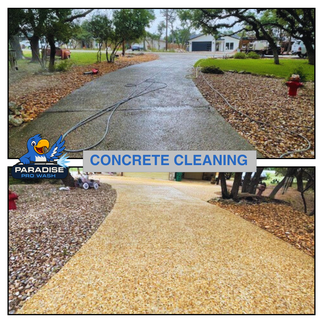Before-and-after concrete cleaning of a driveway, transforming dark stained concrete to a bright, clean surface.