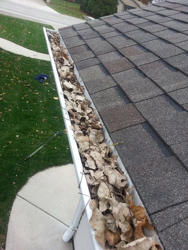 A gutter filled with leaves is on the roof of a house.
