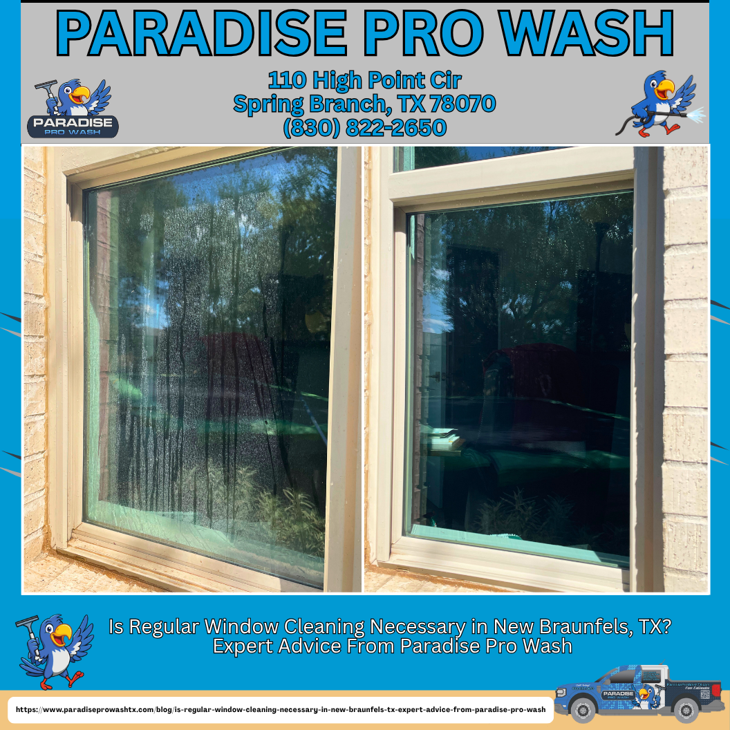 Paradise Pro Wash ad with two before-and-after window cleaning photos and service contact details
