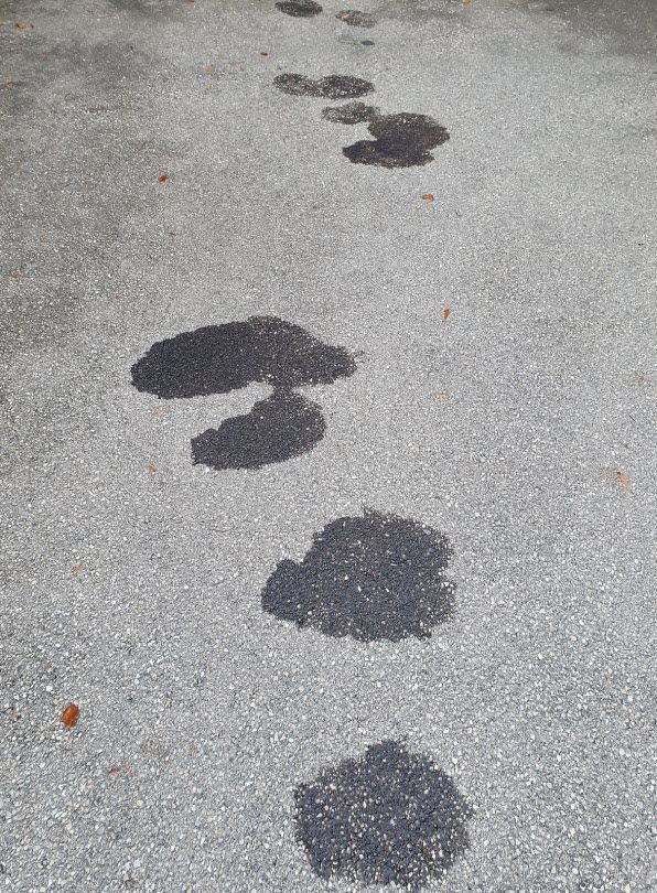 A row of footprints on a concrete surface