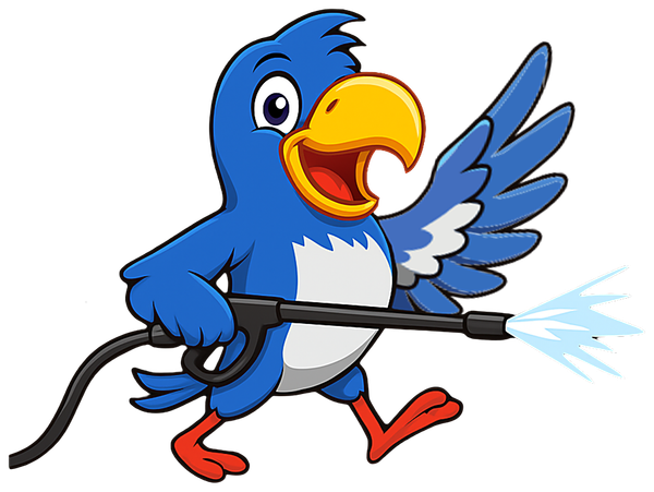 Blue bird cartoon spraying water with pressure washer.