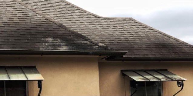 soft wash roof cleaning Spring Branch Texas