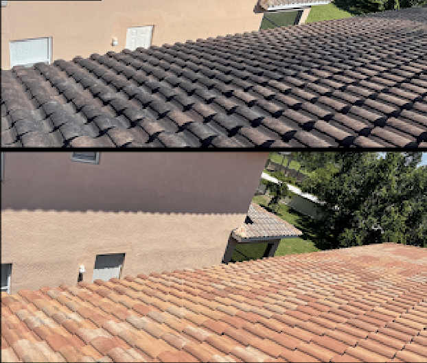 roof cleaning service in Spring Branch TX