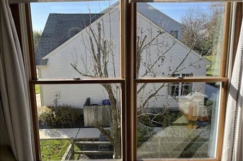 A window with a view of a house and a tree.