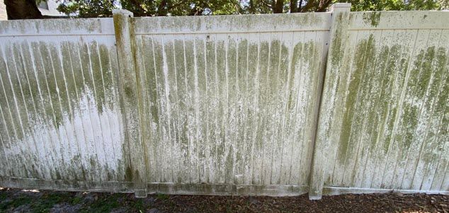 A white fence with green algae growing on it.
