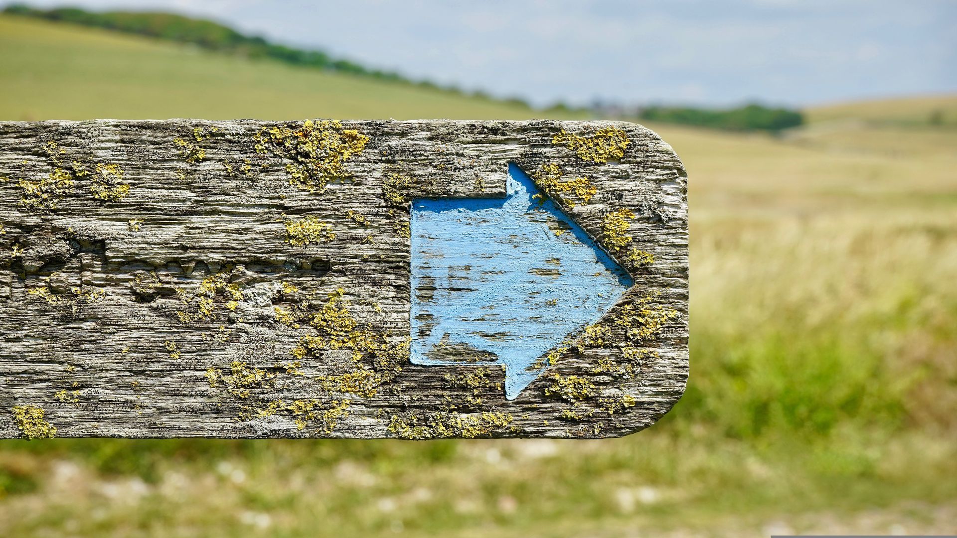 Ein verwittertes, mit Flechten bewachsenes Holzschild zeigt einen leuchtend blauen Pfeil, der vor einem verschwommenen Feldhintergrund nach rechts weist.