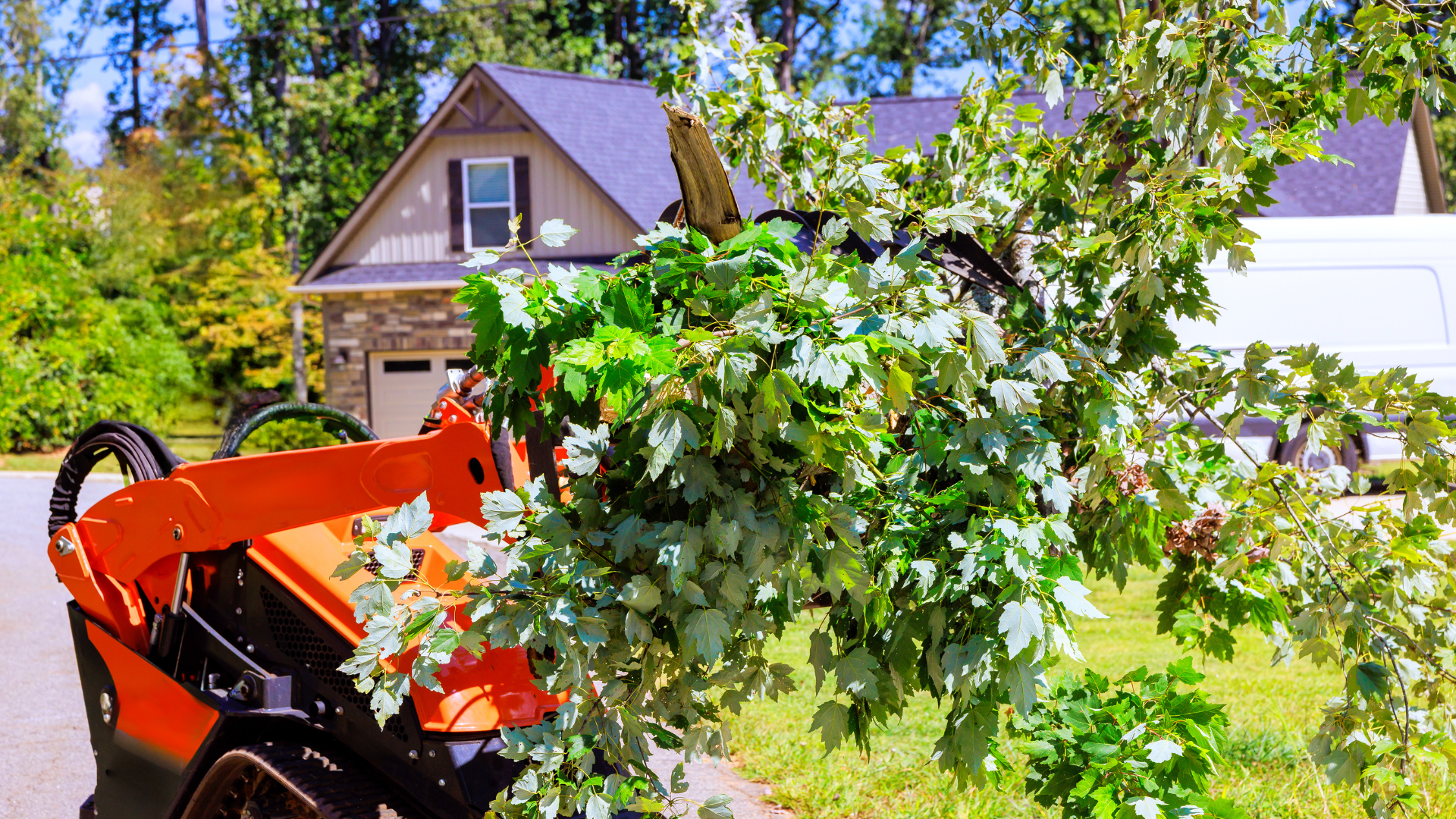 Orange tractor moving a leafy tree in a suburban yard with houses in the background