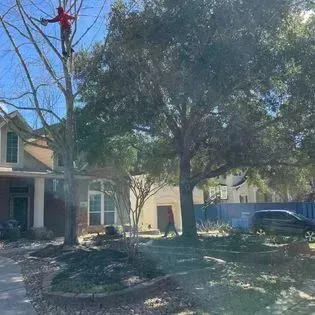 Suburban house with large trees, a driveway, and a blue car parked outside