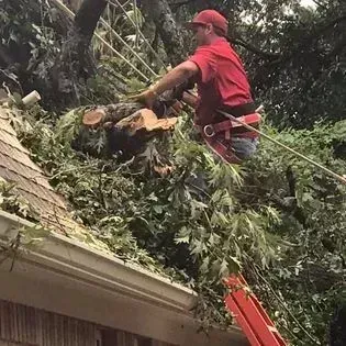 Worker in red trims a fallen tree branch on a roof using a chainsaw and ladder.