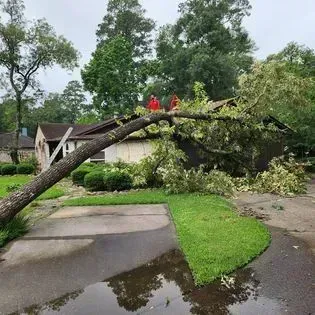 Fallen tree blocking a driveway, with workers in red standing on the trunk after a storm