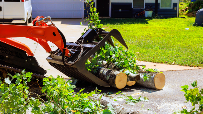 Orange skid steer pushing cut branches and logs along a driveway in a suburban yard
