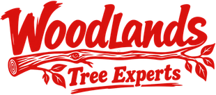 Woodlands Tree Experts red logo with stylized woodcut letters and tree branch design