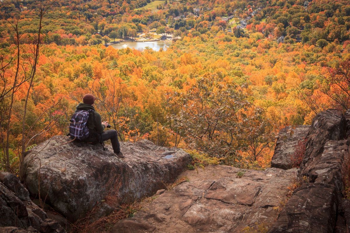A person with a backpack is sitting on a rock overlooking a forest.