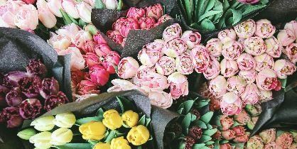 Displayed Flowers