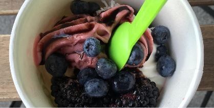 Frozen Yogurt