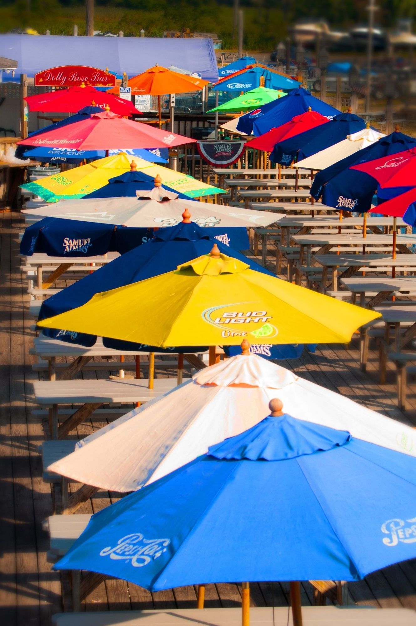 Fine dining on the beach