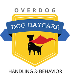 Logo for Overdog Dog Daycare, featuring a black dog in a red cape on a yellow shield with blue banner text.