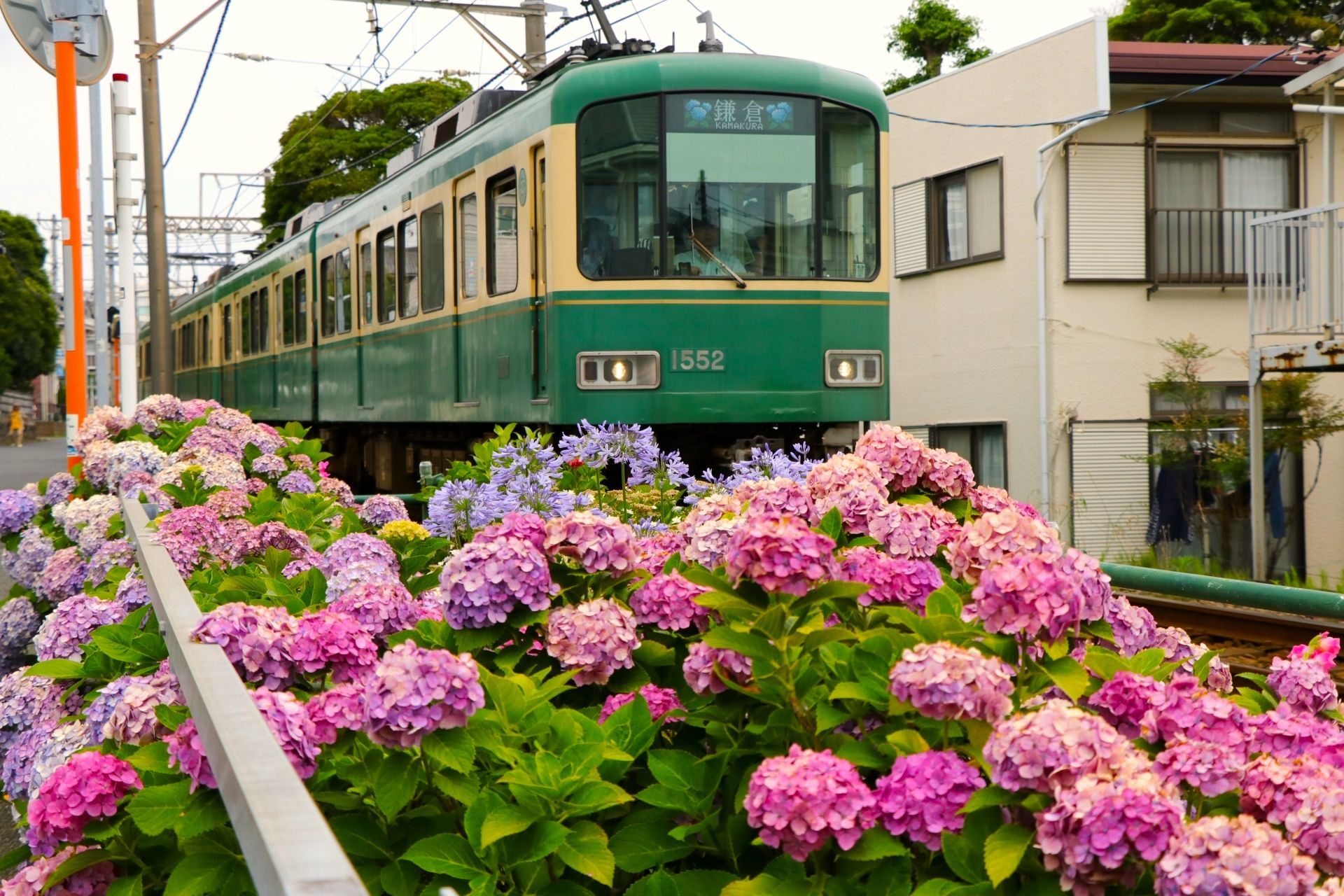 OTOMO Kamakura Tour