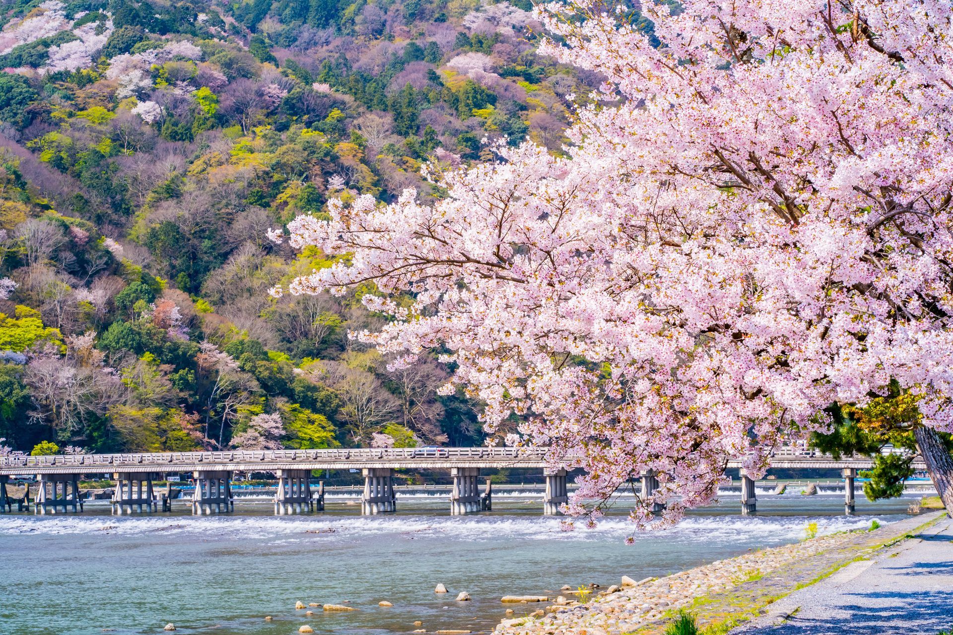 OTOMO Kyoto Tour