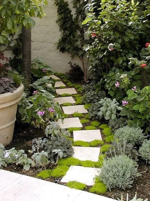 Pathway Plants