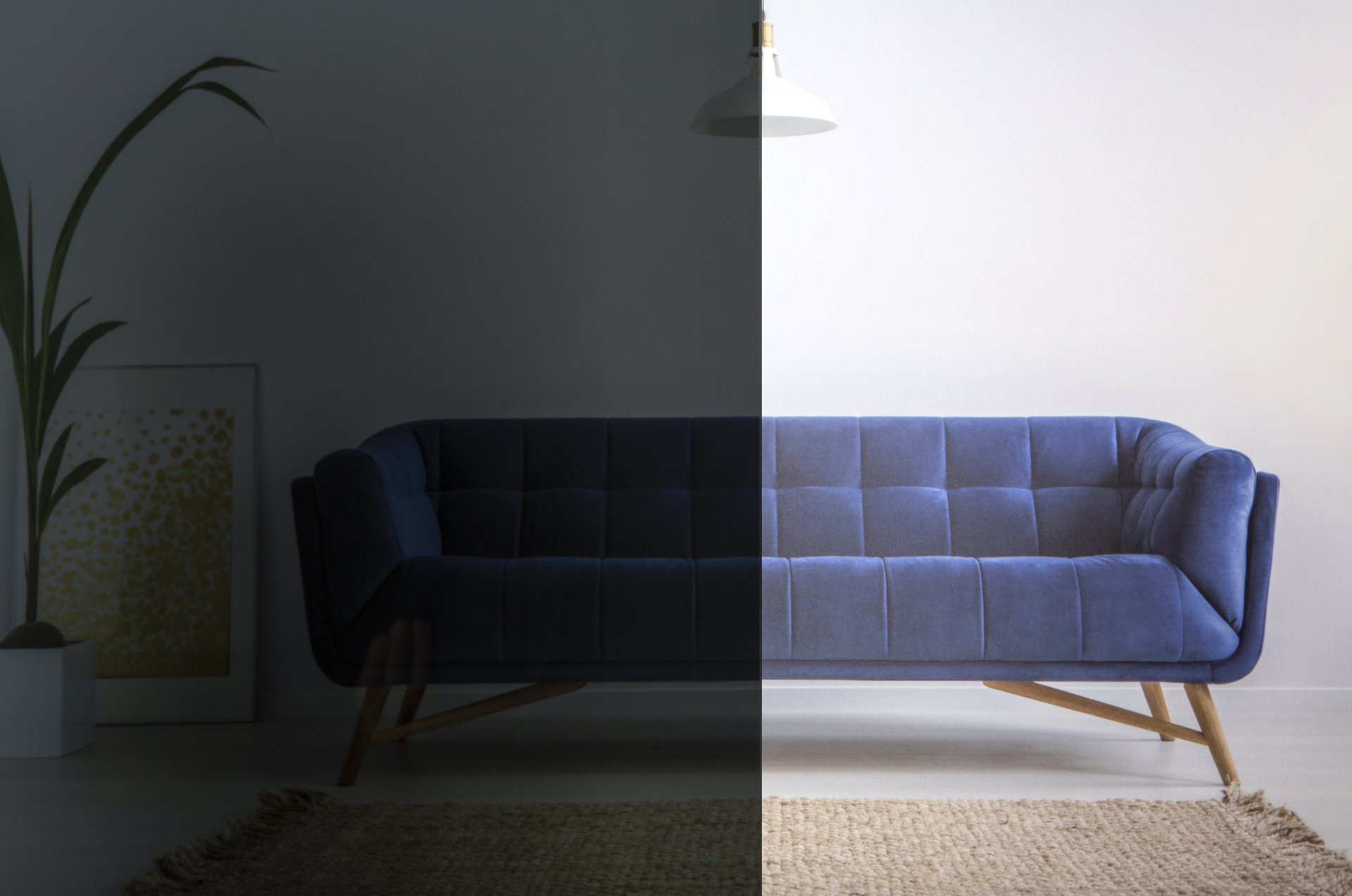 Glass Australia Tinted Float Glass