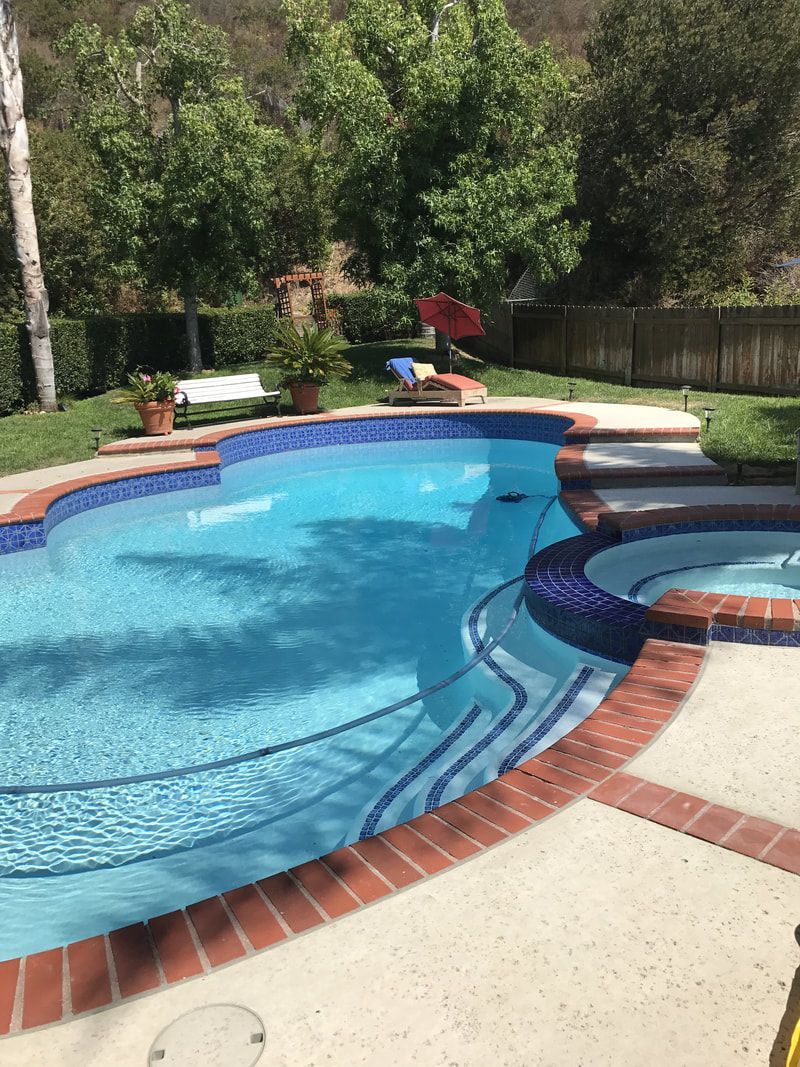 A large swimming pool surrounded by bricks and trees in a backyard.