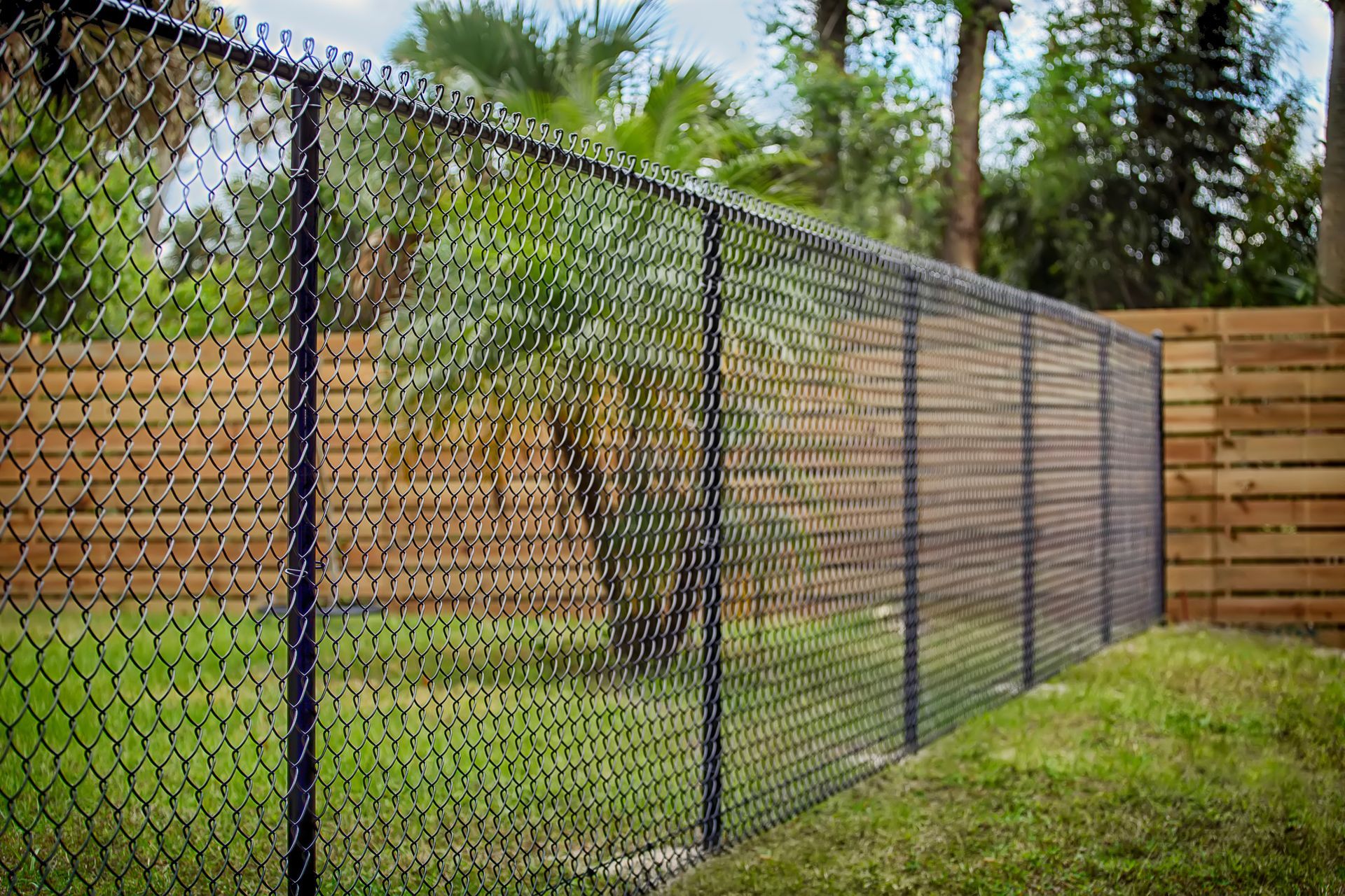 A chain link fence is surrounded by a wooden fence in a backyard.