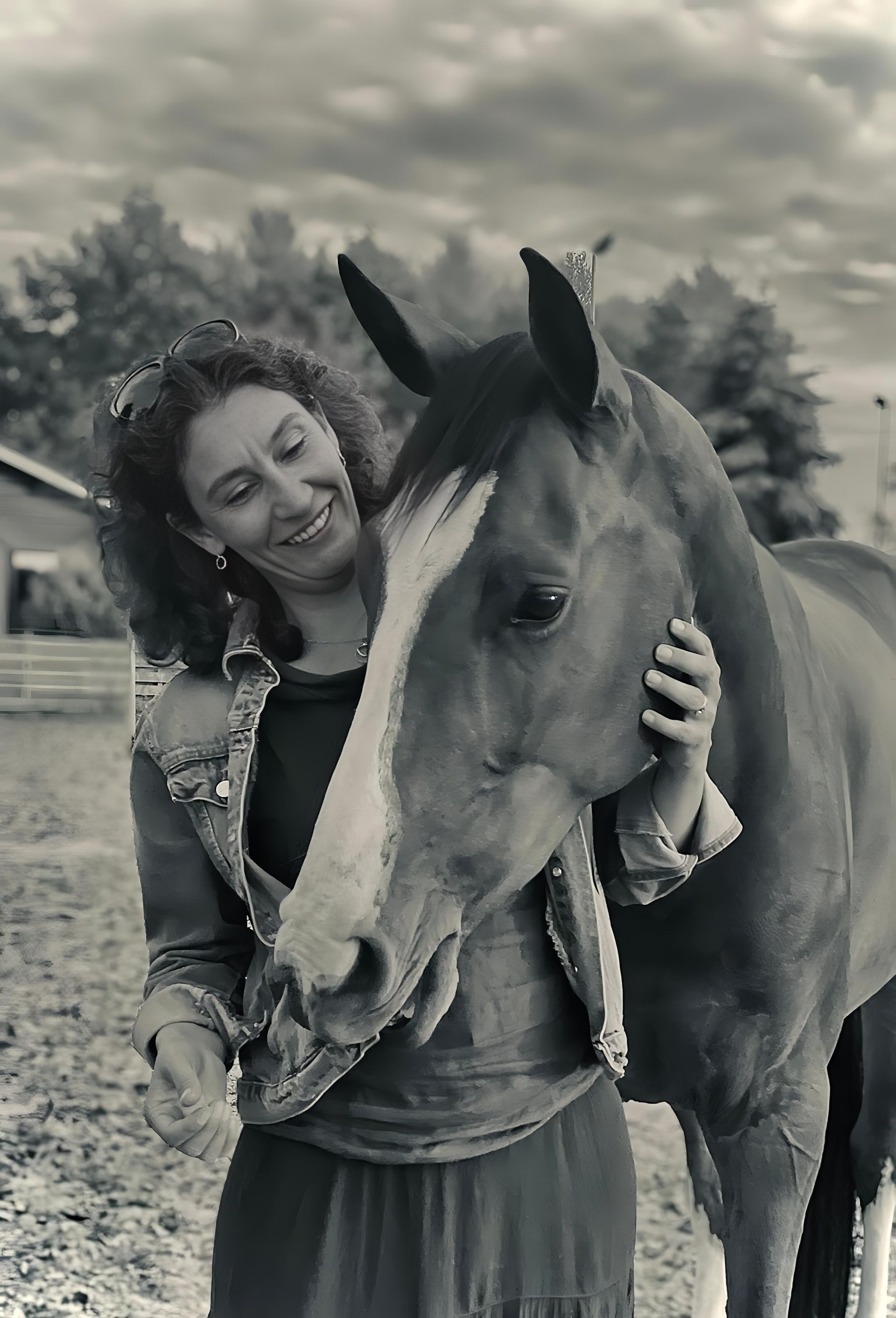 Paarden in een veld in voor paardencoaching en therapie