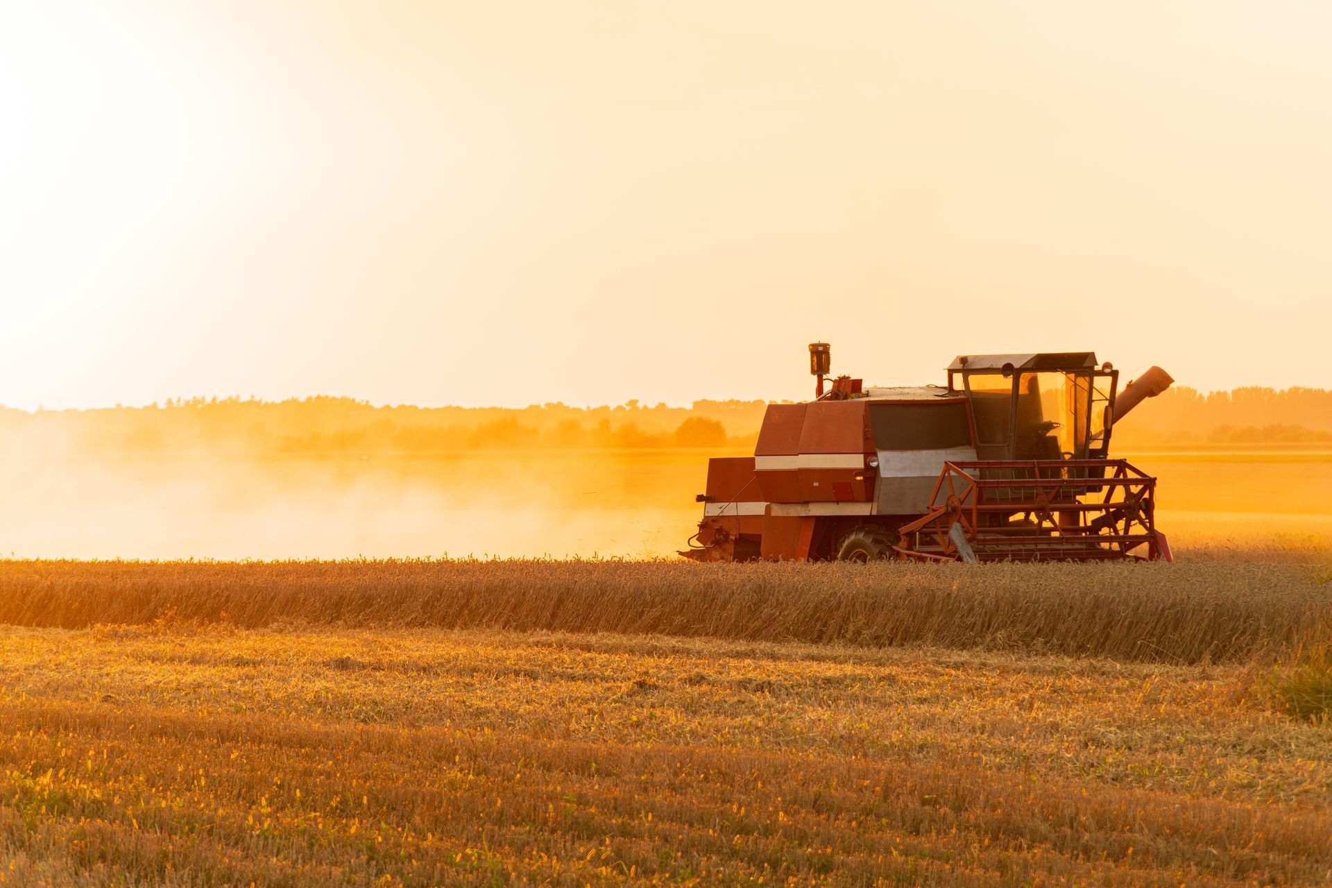A combine harvester is working in a field at sunset