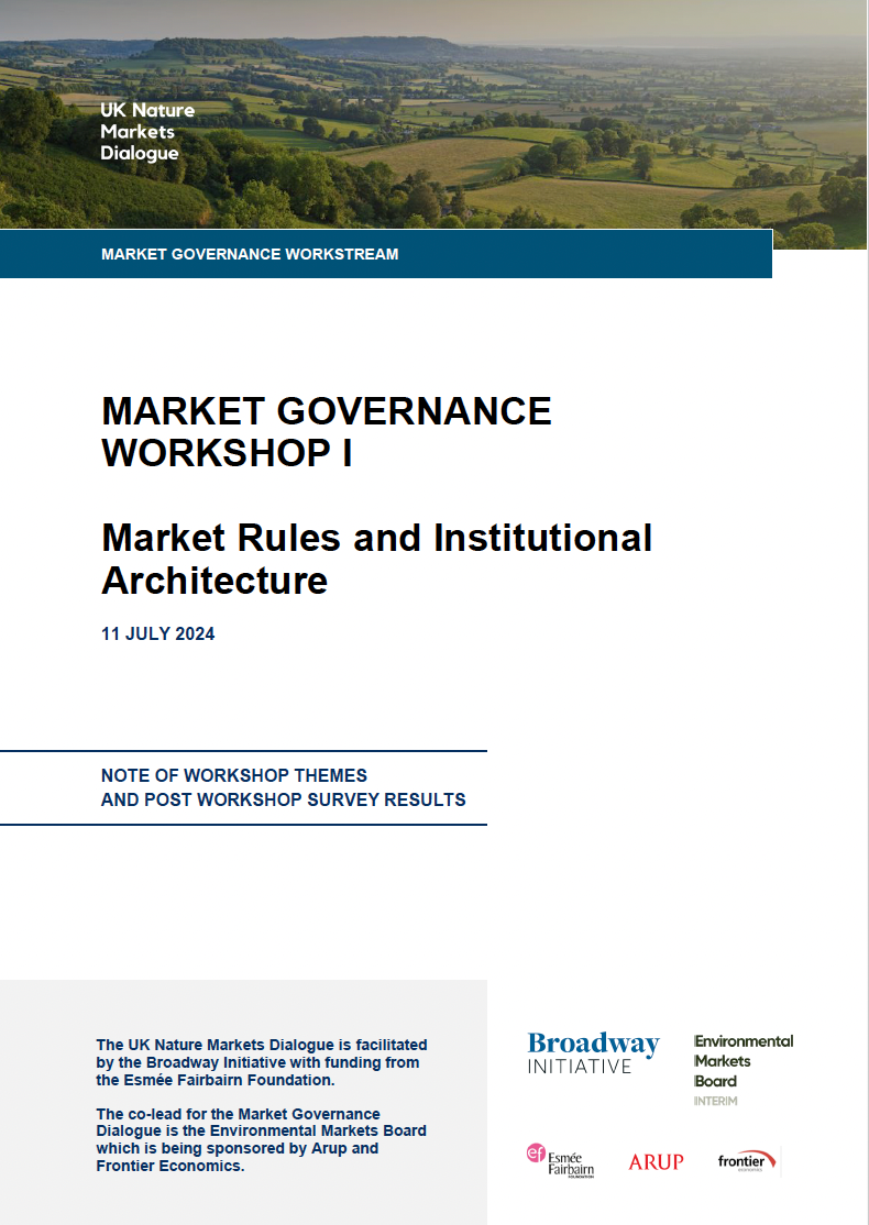 Governance workshop 1 cover