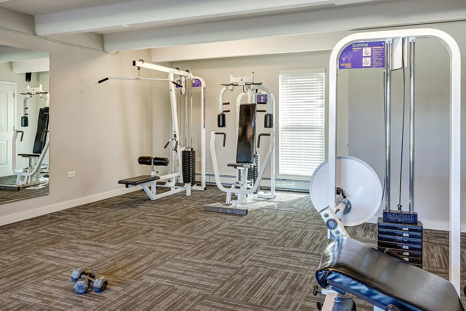 Gym with weight machines and dumbbells.