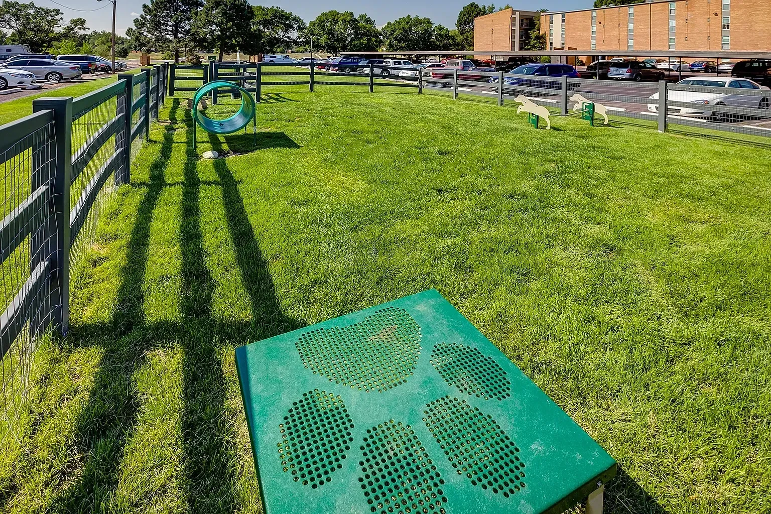 Fenced-in dog park with agility equipment and grassy area.