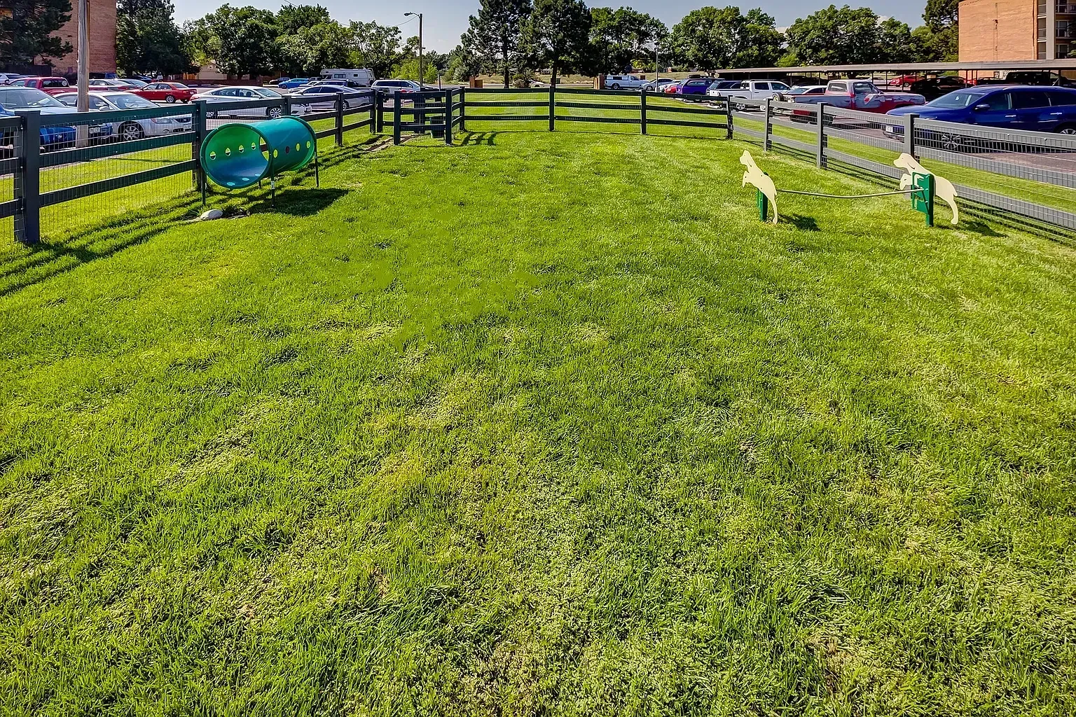 Dog park area with green turf, tunnel, and agility equipment.
